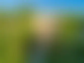 A Year of World-Class Dance, Music, and Theatre Coming to Lake Erie College