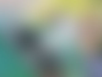 Dun só uso: Onde rematan as botellas dos bares?