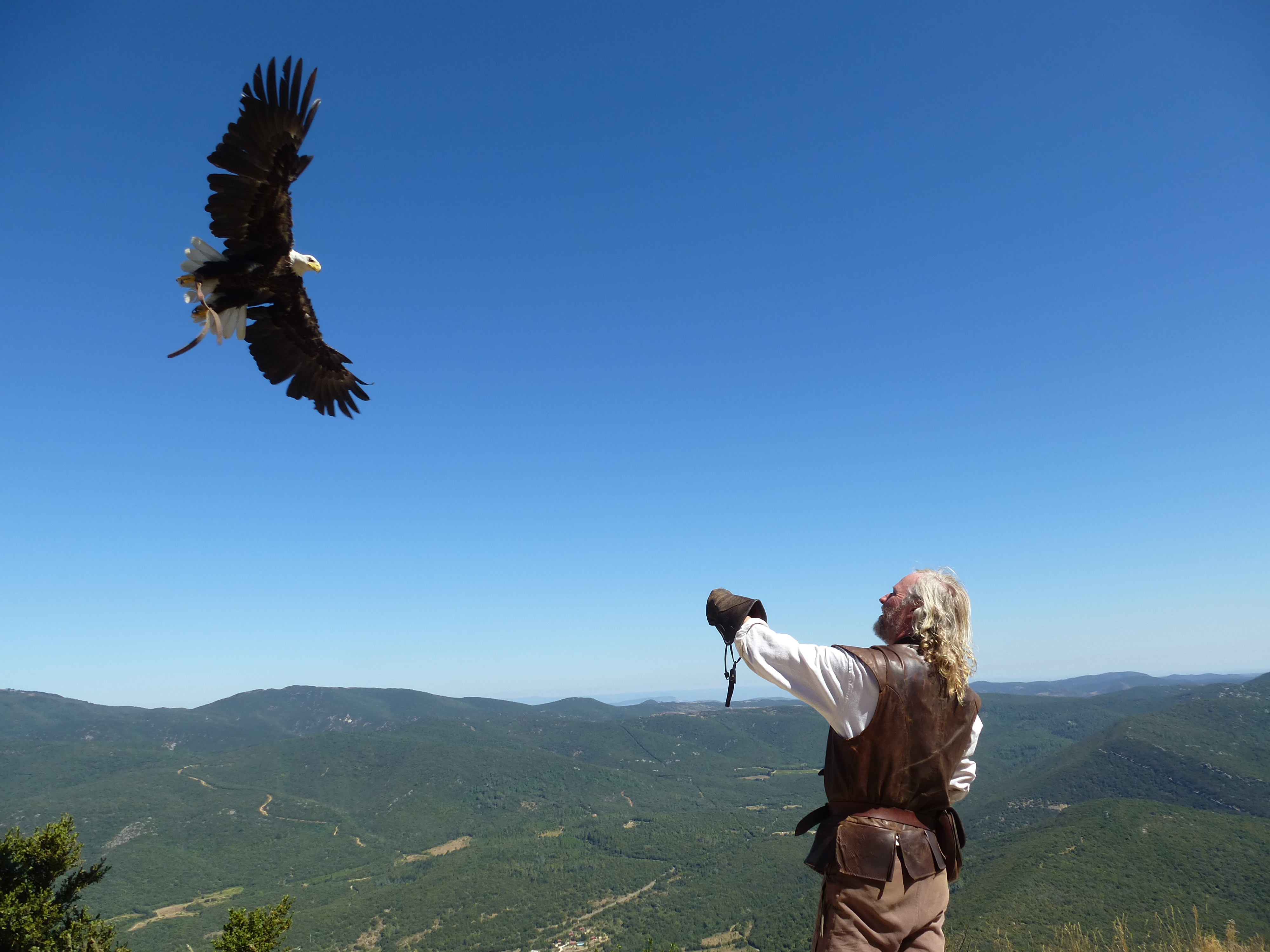 Le vol de l'aigle