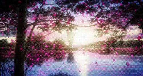 d9d9182117f3545dda299a080a589e2d.gif