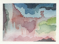 Spleens Serve a Purpose