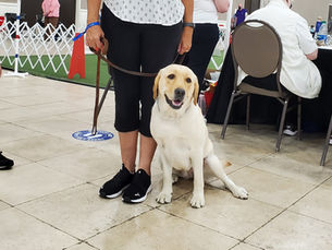 AKC Rally Nationals 2021