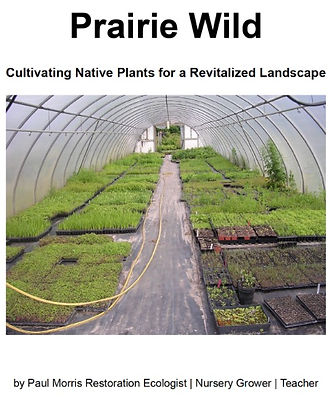 Prairie Wild with text: Cultivating Native Plants for a Revitalized Landscape, by Paul Morris.