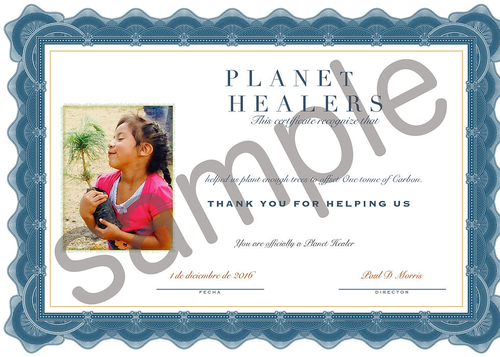 certificado planet healers2