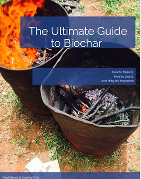 The Ultimate GuideBook cover — Ultimate Guide to Biochar by to Biochar cover with fire and text, Books & Media, and context.
