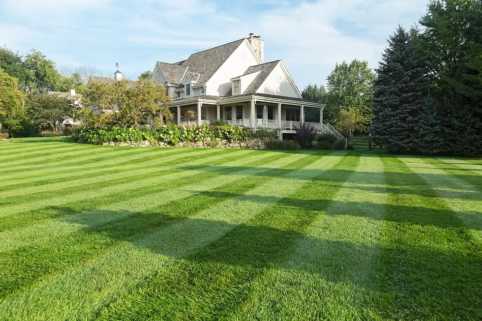 e0acc02e-c069-49b8-a424-61f31de47344-NEW_HEADER-2691678_SMI_Prestige_2752_010.webp
