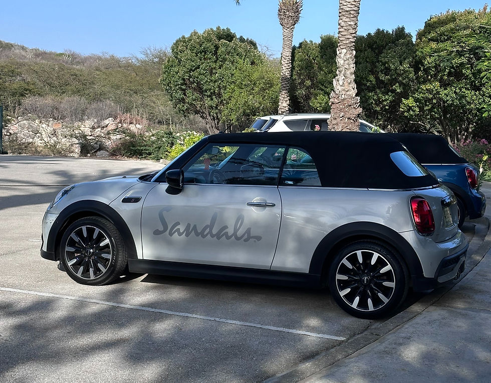 Silver Mini Cooper convertible with black soft top and Sandals logo parked by palm trees on a sunny day