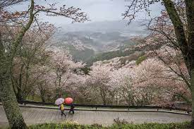 People walking alongside Mount Yoshino