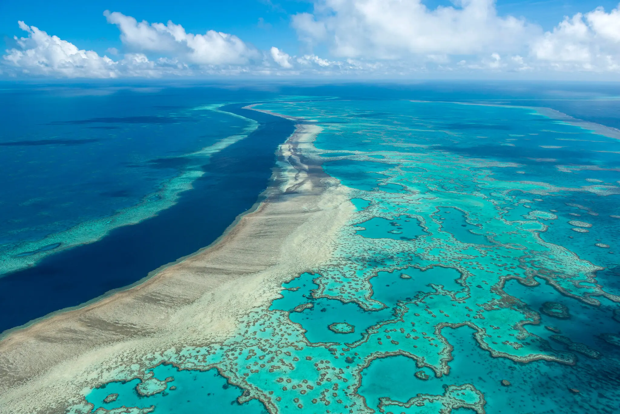 28xp-reef-1-a326-superJumbo.webp