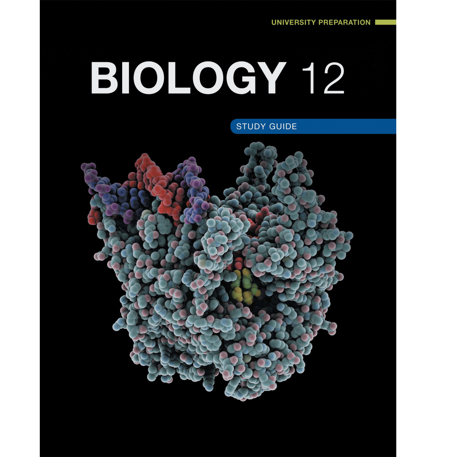 Biology 12 Study Guide