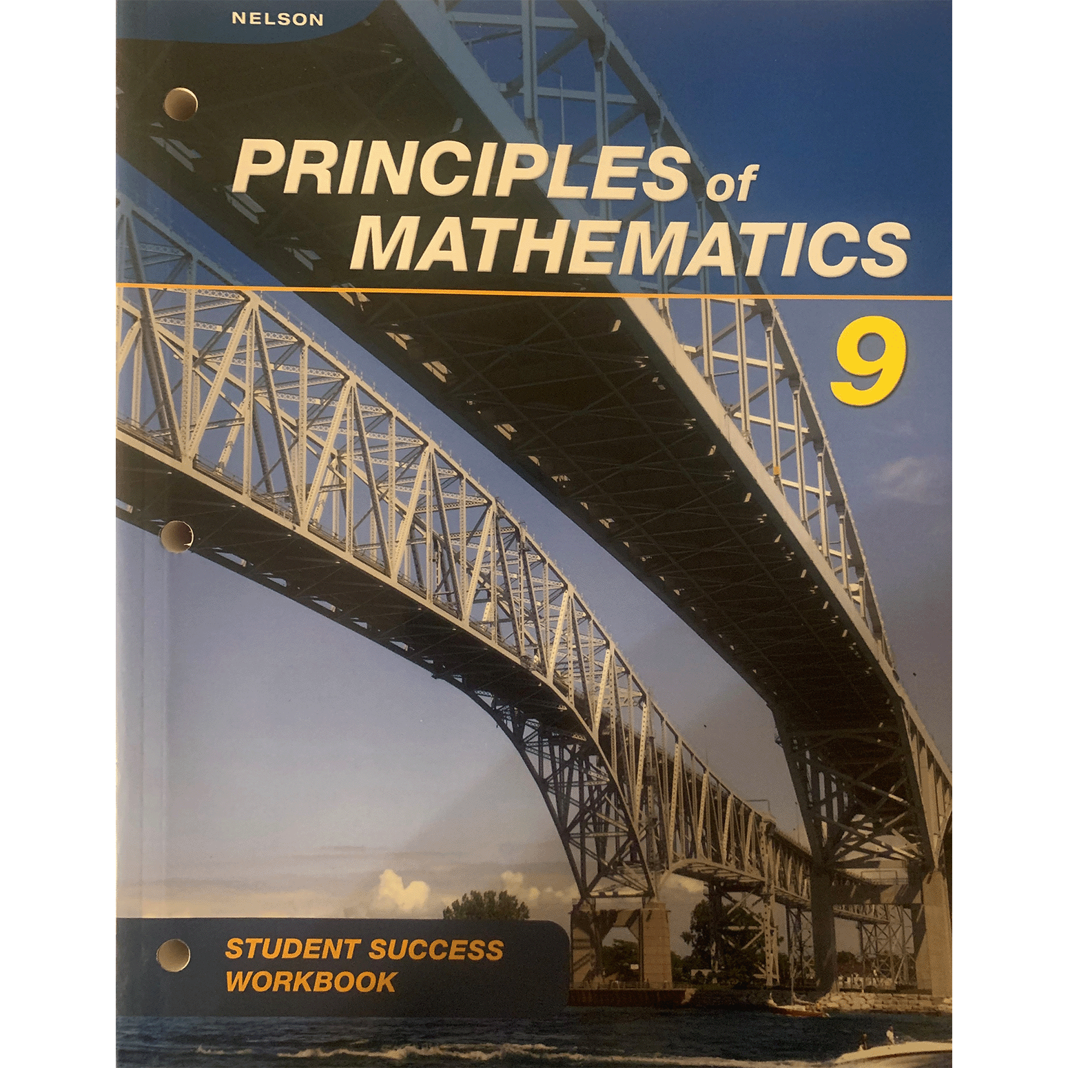 Principles of Mathematics 9 Student Success Workbook