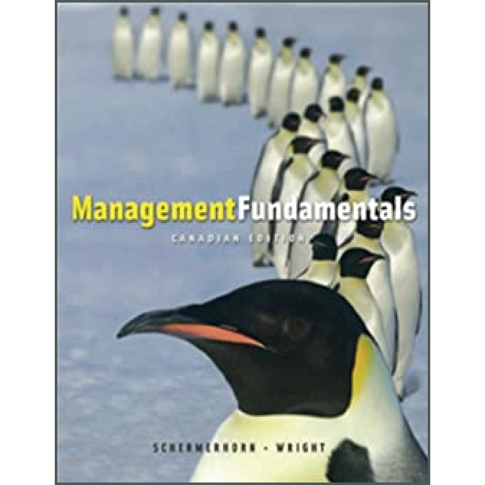 Management Fundamentals Canadian Edition