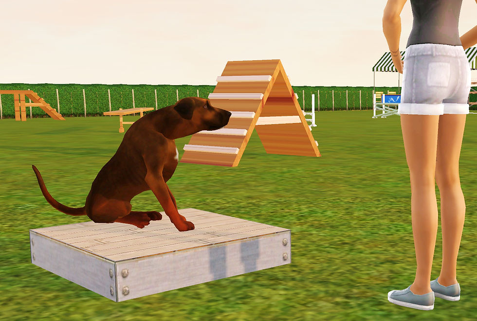 Screenshot-358.jpg