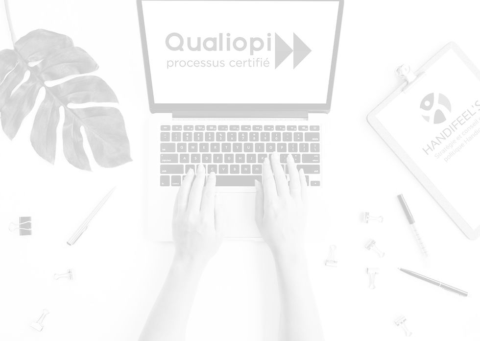 Référent handicap en CFA/OF