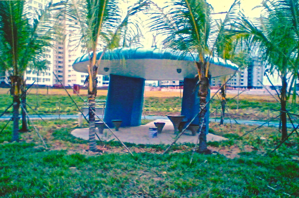 Sengkang Neighbourhood Park 2