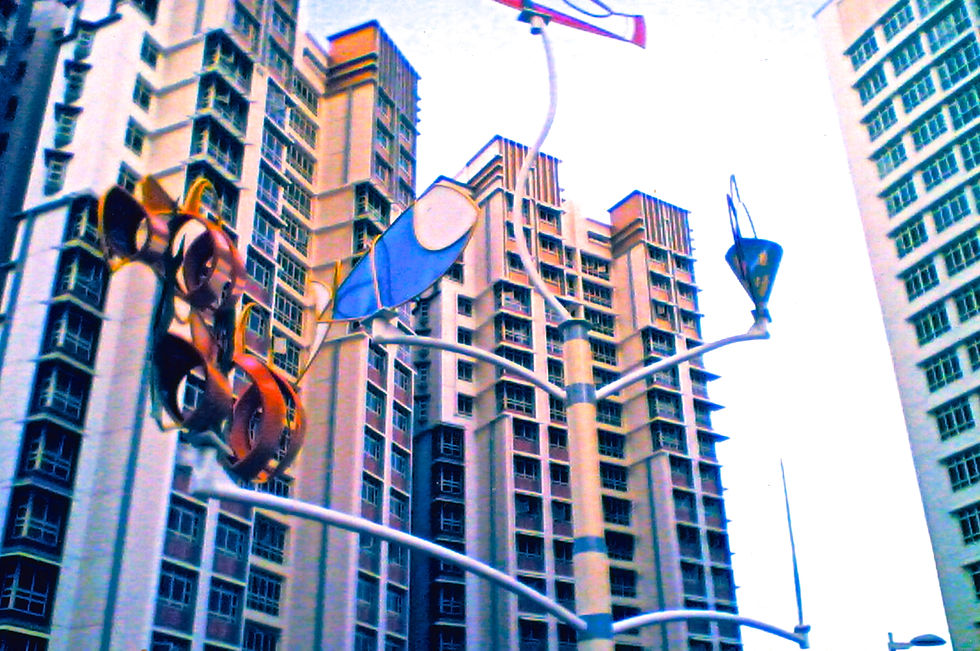Sengkang Neighbourhood Park 2