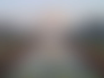 Oriental gardens, when Princes flowered the desert.