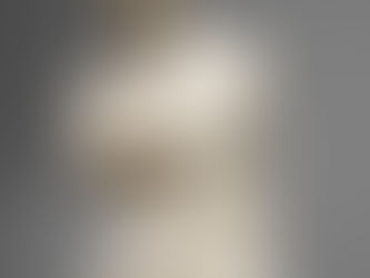 Where did the arms of the "Venus de Milo" go?