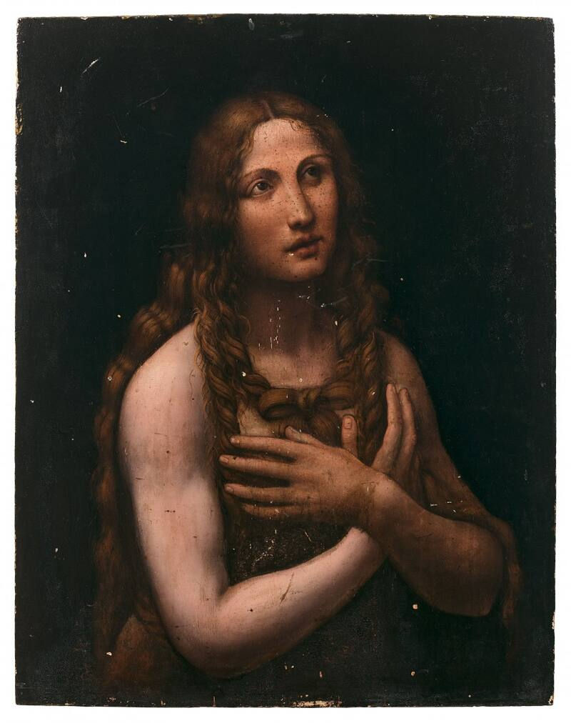 Leonardo da vinci art expert
