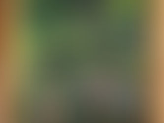 Show me the Monet, by Banksy, sold $ 10M.