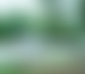 The Feng Shui Secrets Real Estate Agents Never Mention