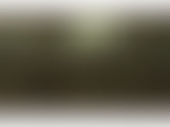 Van Gogh painting stolen while museum was closed for Corona virus.