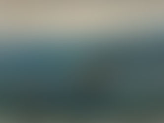 Getty museum buys 39 exceptional Dutch drawings