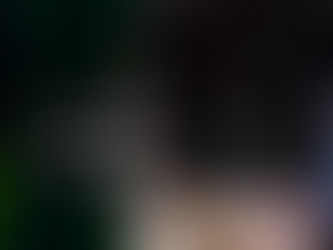 5 Biggest forgers ever + youtube video