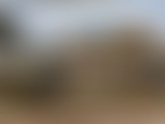 A Van Gogh once sold for £ 45, fetched € 15M