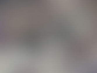 Egon Schiele Catalogue Raisonne online free to consult