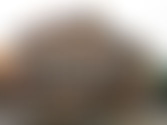 1 billion $ art heist Boston museum never recovered.