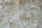 wood grain 1.jpeg