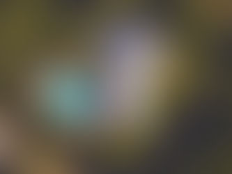 The Power of Local Drone Photography