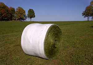 IMG-20111006-00029.jpg