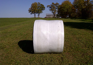 IMG-20111006-00028.jpg