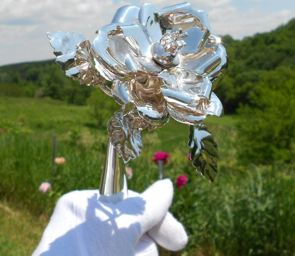 Silver Rose Ceremony 