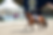 IMG_3834_web.png
