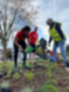 Community planting wheel