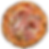 Carnia_web.png