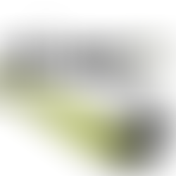 Formula 1 Icons : Brawn GP