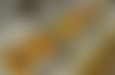 Grand BBQ? only at Grand Barbecue Restaurant