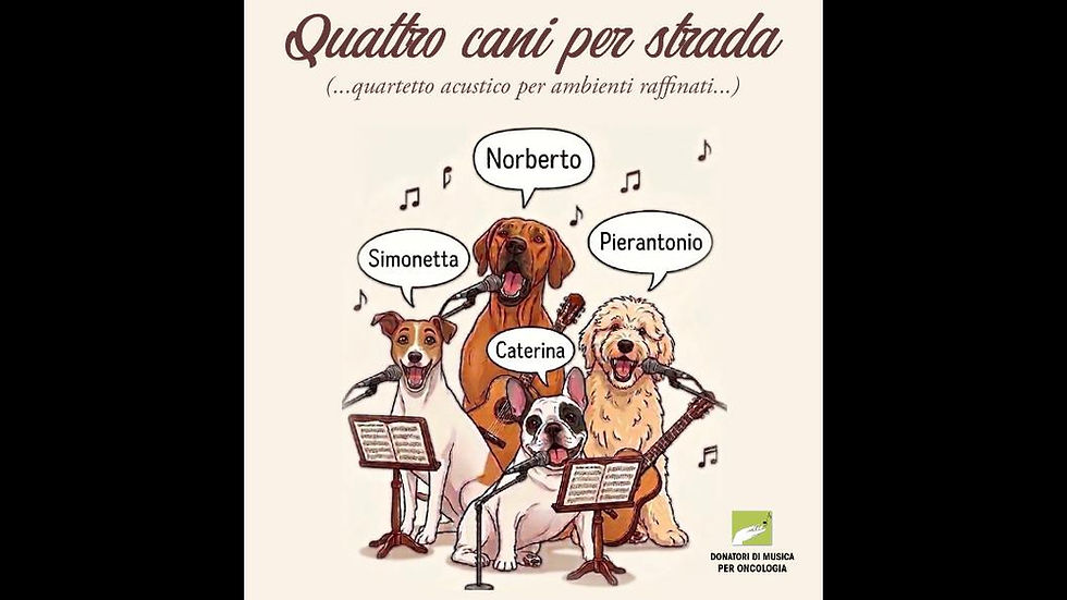 Quattro cani per strada - Simonetta, Caterina, Norberto, Pierantonio
