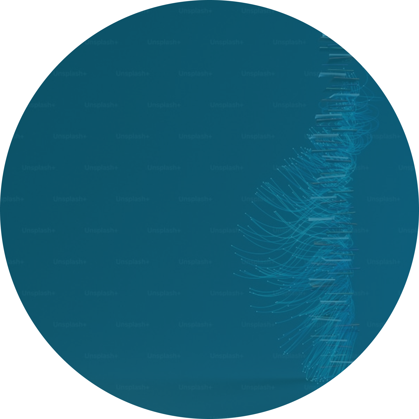 Ellipse 6.png