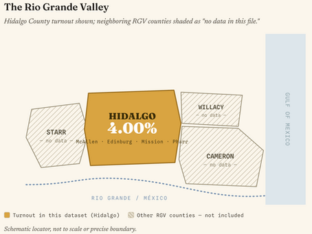 Hidalgo County 2026 Primary Runoff Results & Turnout