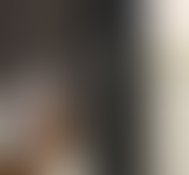 Benjamin Moore Silhouette Color is a great option when it comes to a remodel