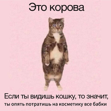 Другие каналы связи