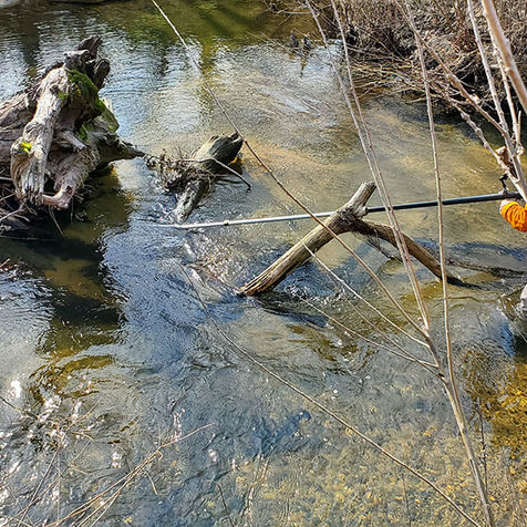Salmon Camera On A Stick