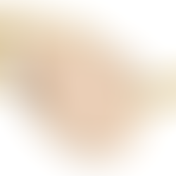 Look for Less #6: Bottega Veneta Sardine Aviator Sunglasses (Pilot Aviators)