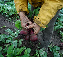 DSCF0633.jpe