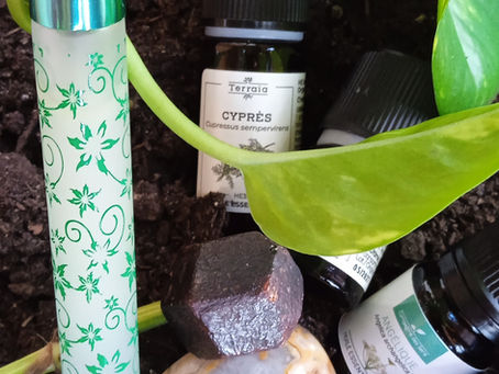 Cyprès Vert – Genévrier – Racine d'Angélique- Nard de l'Hymalaya Grenat Pyrope – Hématite – Agate Crazy Lace Flammes Sacrées Energies de la Terre et de l'Intraterre Vaporisateur Accompagnement d'un travail de purification des premiers Chakras et Alignement à sa mission TRANSGÉNÉRATIONNEL – COUPER LES LIENS POURRIS – NETTOYAGE DES PENSÉES ET PEURS LIMITANTES – RÉCUPÉRATION FRAGMENTS D'ÂME – ALIGNEMENT À SON INCARNATION CHAKRAS CONCERNÉS Etoile de la Terre – Chakra Bordeau – Chakra Racine – Chakra Sacré " Je ressens ma Terre et ma structure, j'émane la vibration de ma vraie nature" J'élimine les relents de ce qui ne m'appartient plus: pensées et peur